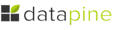 datapine Logo